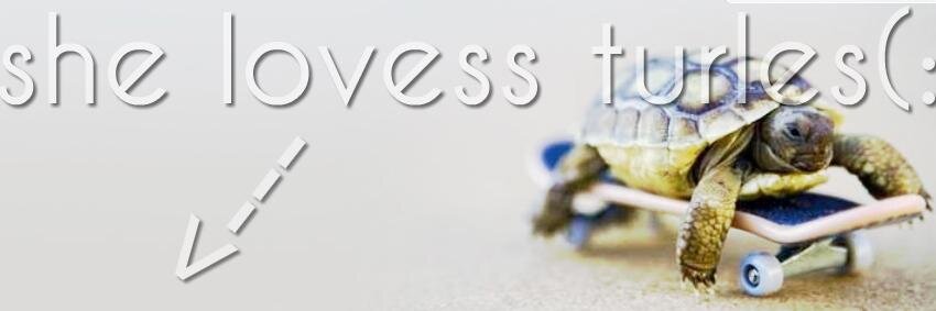 NerdWitch's profile banner image