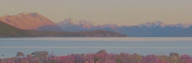 toriestaley's profile banner image