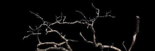 dethlucent's profile banner image