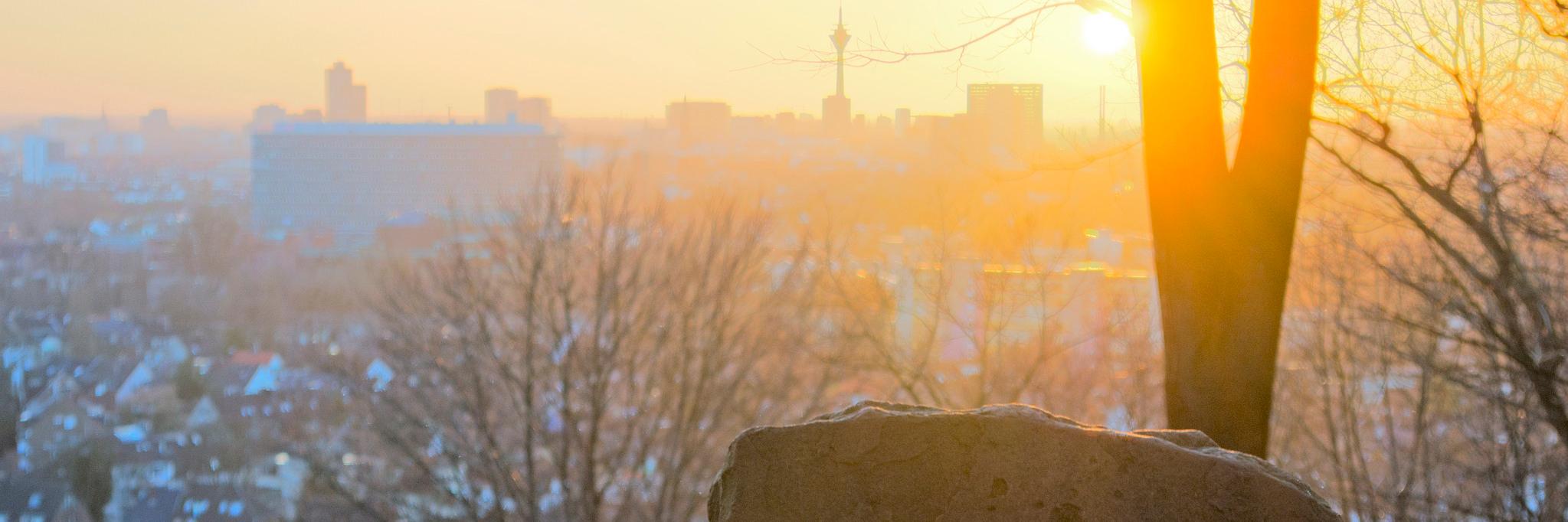 faxweiche's profile banner image