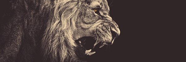 fammari's profile banner image