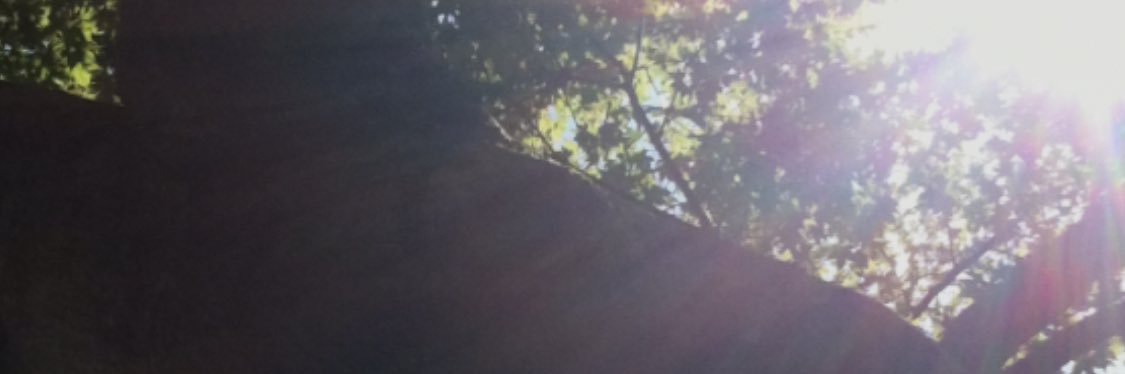 その氏はTL追えません banner
