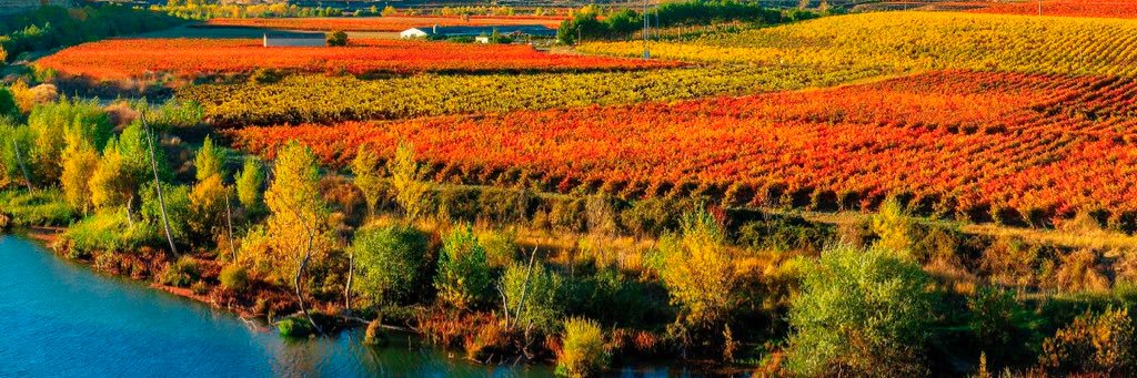 mar_cotelo's profile banner image