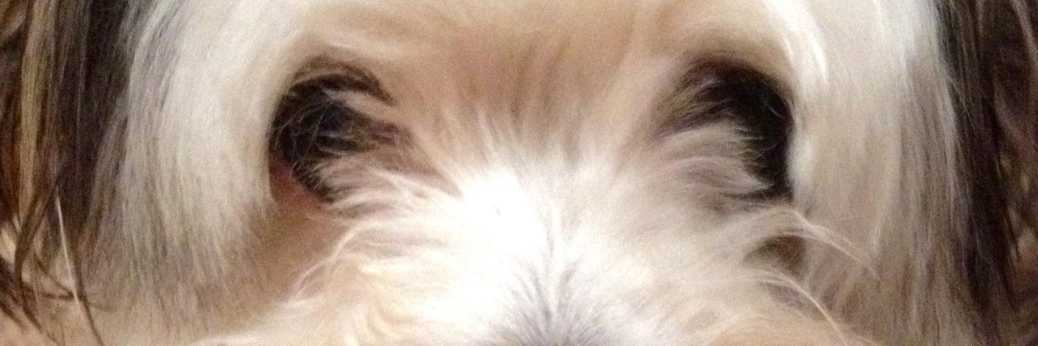 QueenBraille's profile banner image