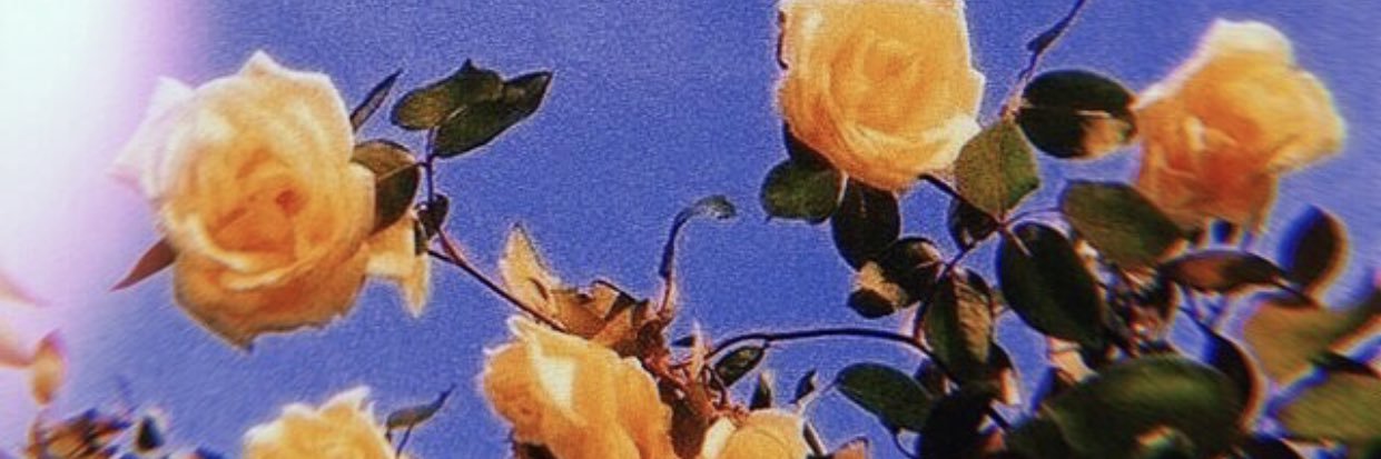 soHoodRaT's profile banner image