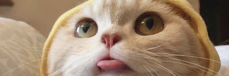 mostly_post's profile banner image