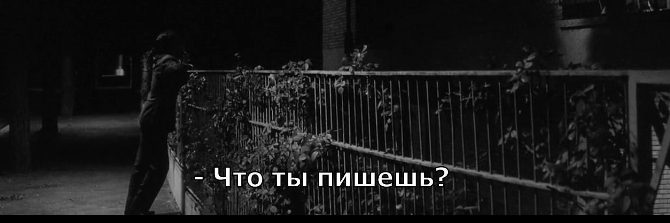 mashamerce's profile banner image