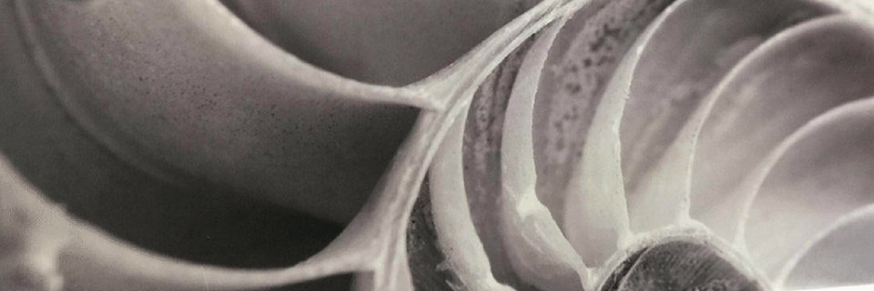 Isabel_Olleta's profile banner image