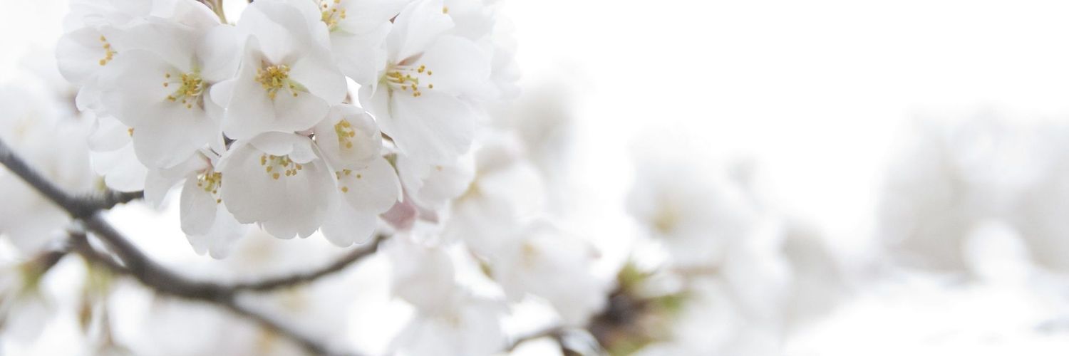 EsraaAliJ's profile banner image