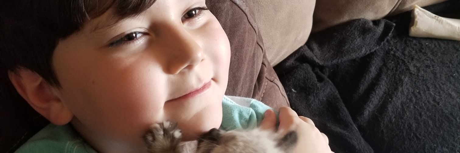 billalysia1's profile banner image