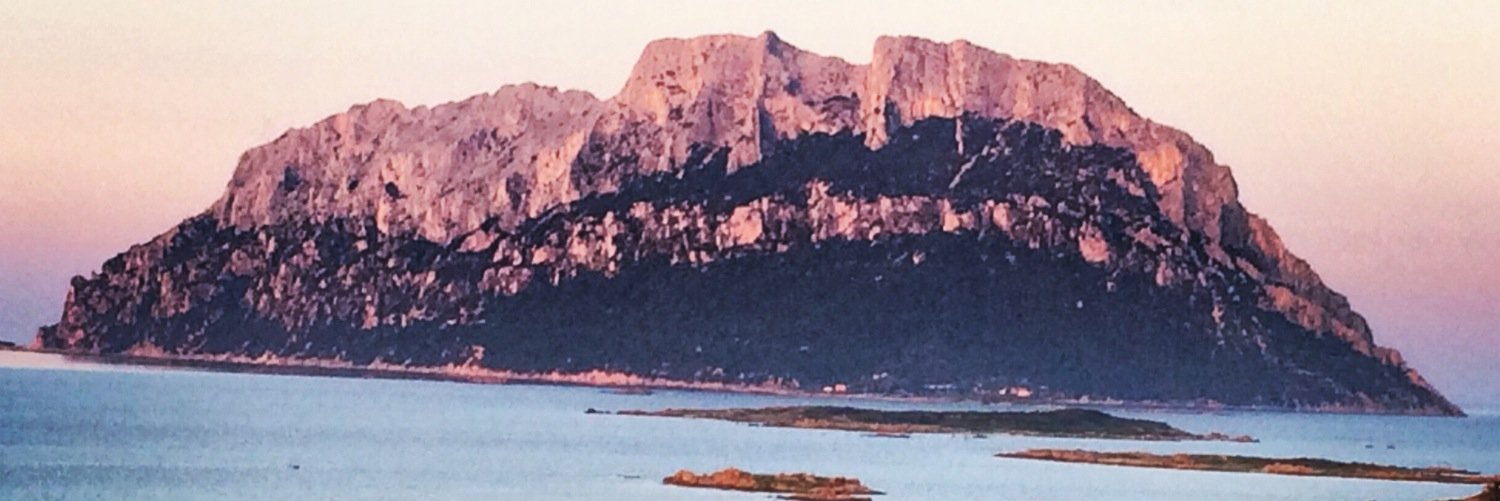 bepianziani's profile banner image
