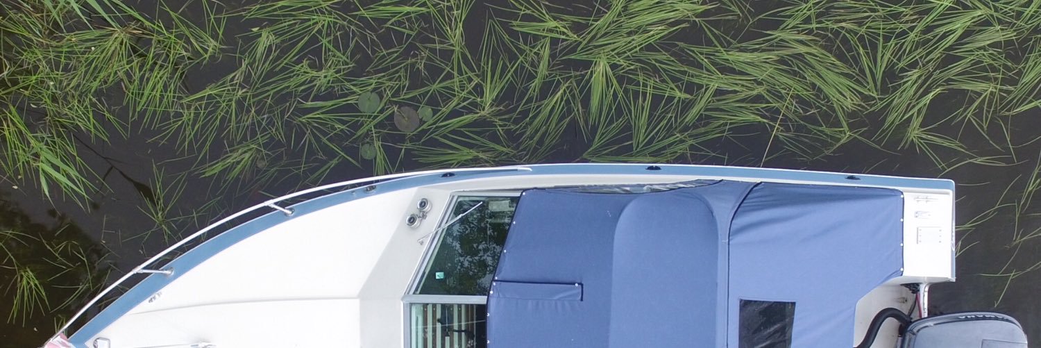 lorileetaylor's profile banner image