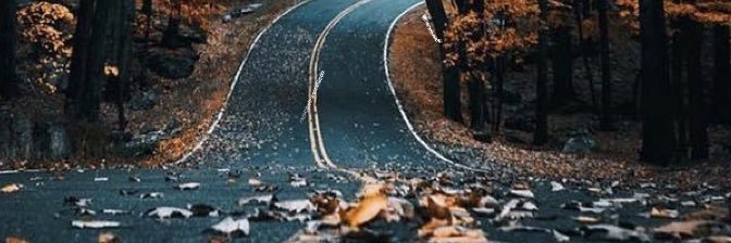 kylaahC's profile banner image