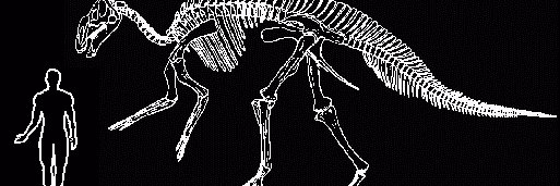 chromolyqueer's profile banner image