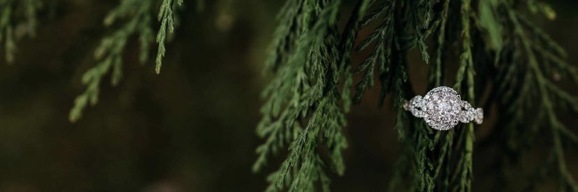 Astewart2020's profile banner image