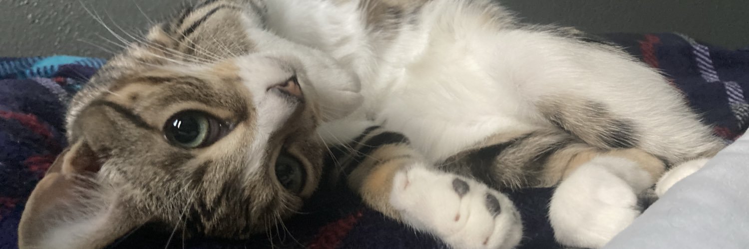 GergleBipper™ banner