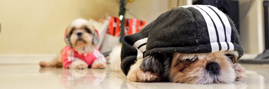 CHRSTLL's profile banner image