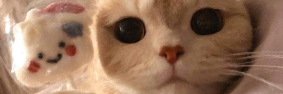 plengparty's profile banner image