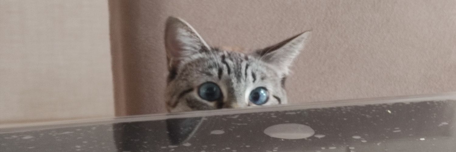 AmyFons3ca's profile banner image