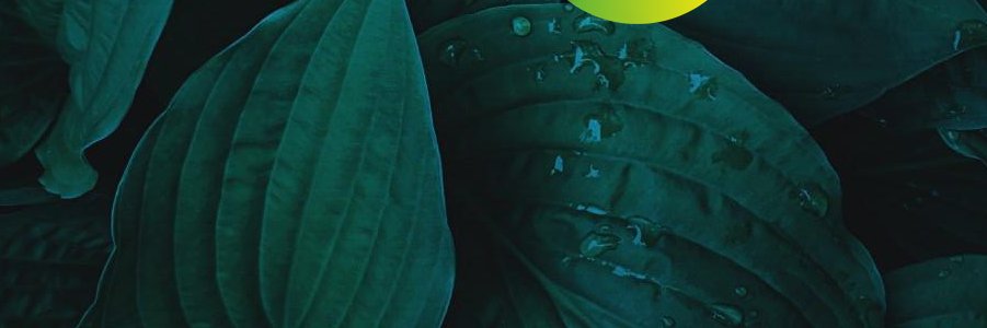 KunalJungi's profile banner image