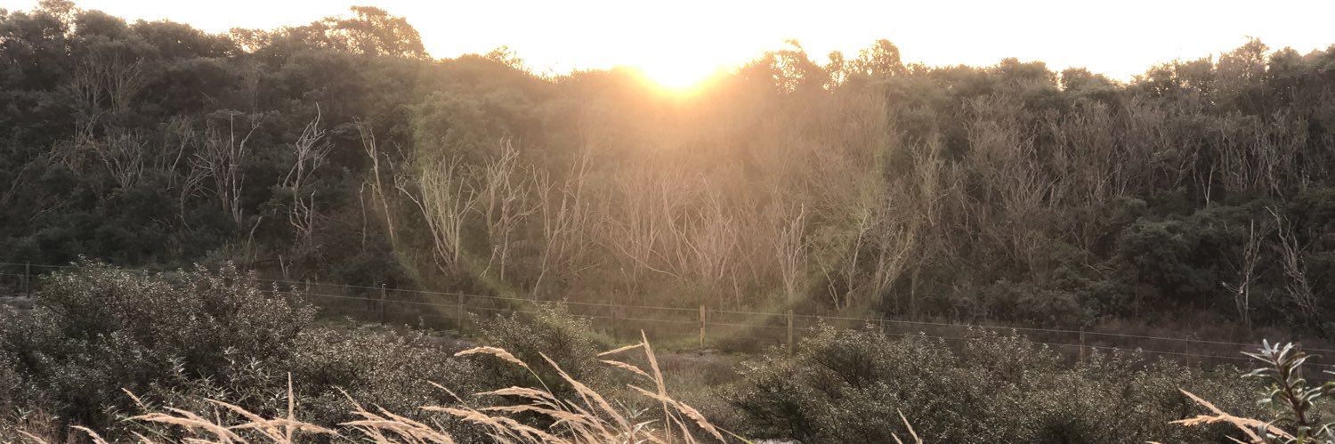 Marja van der Ende banner