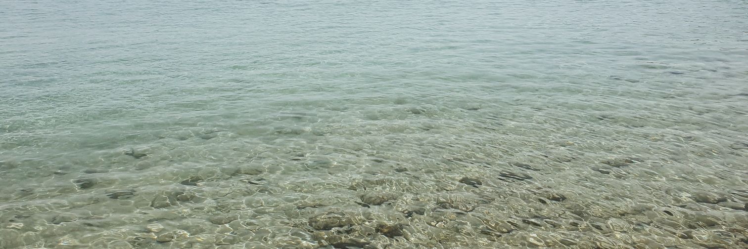 sevorindik's profile banner image