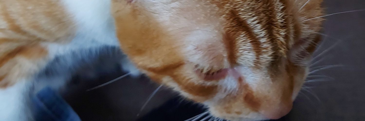 jacobjuhhh's profile banner image