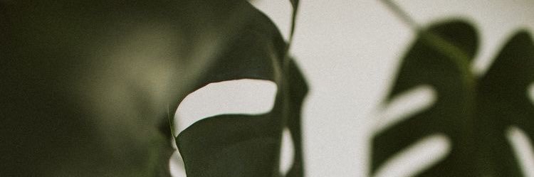 jjess_smithh's profile banner image