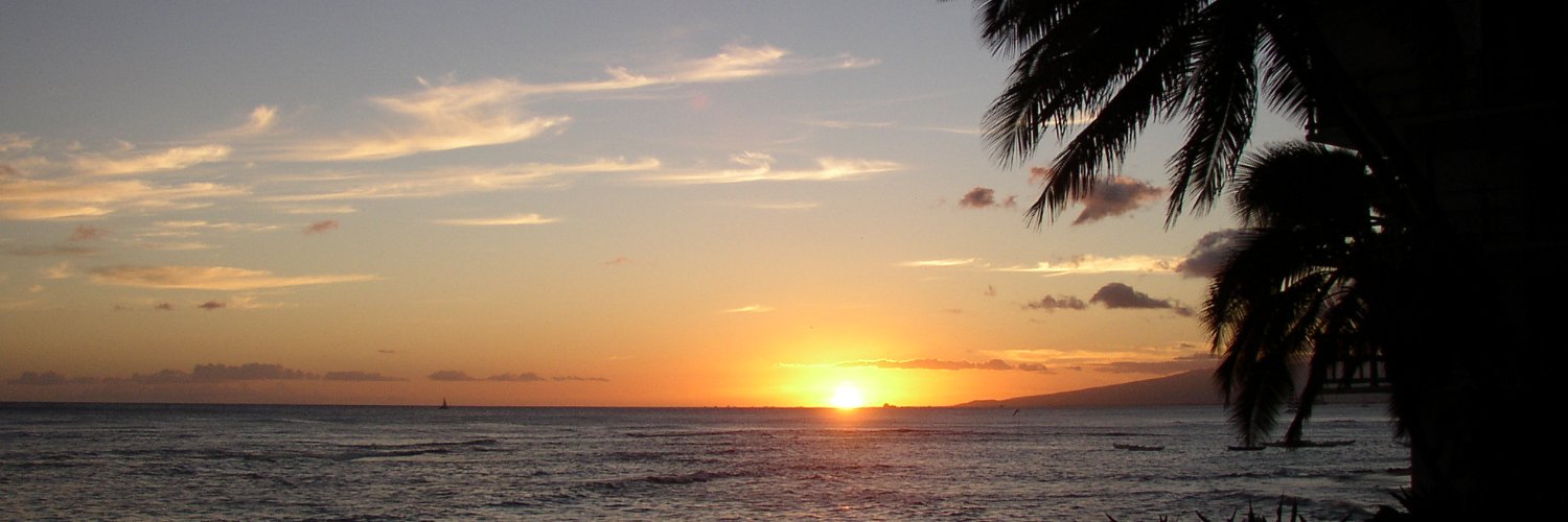 ElizabethC ⚖️🇺🇦🇮🇱💛💙🌻 banner