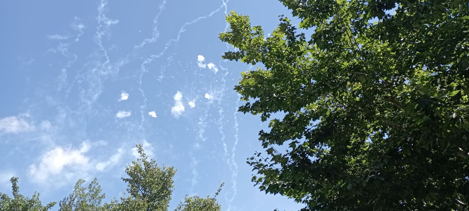 Núria Roca Trenchs banner