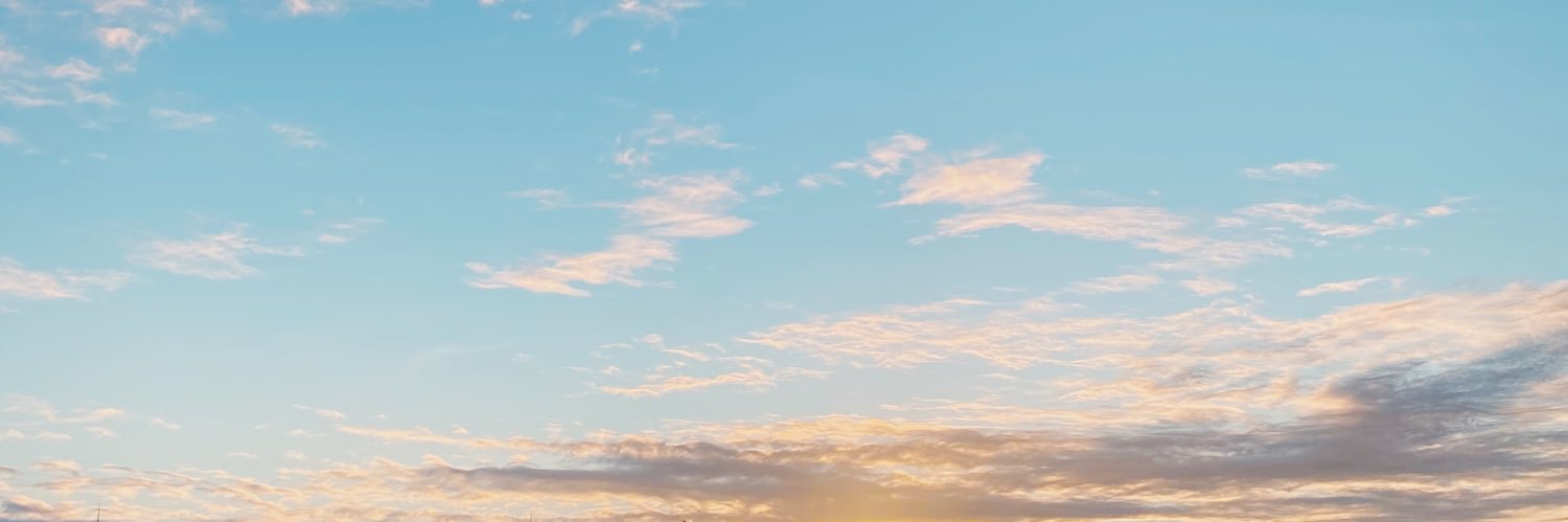 CarolMatiotti's profile banner image