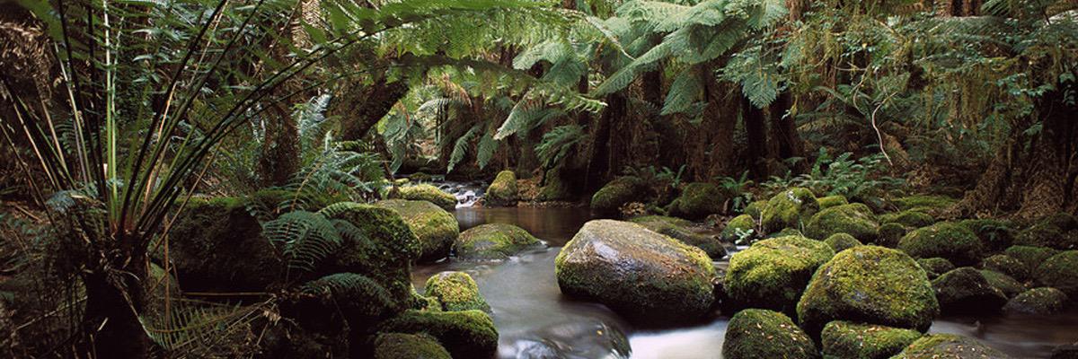 greengetaways's profile banner image