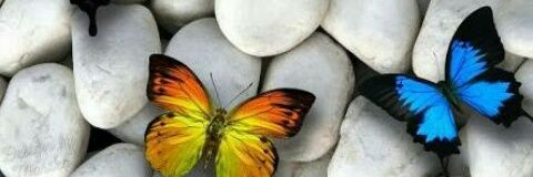 Sunil3kumaR's profile banner image
