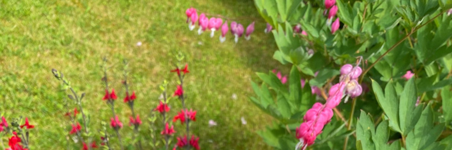 storeen_'s profile banner image