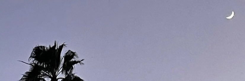 luceaalcocer's profile banner image