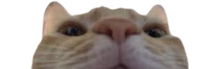 Jeffbigbooty's profile banner image