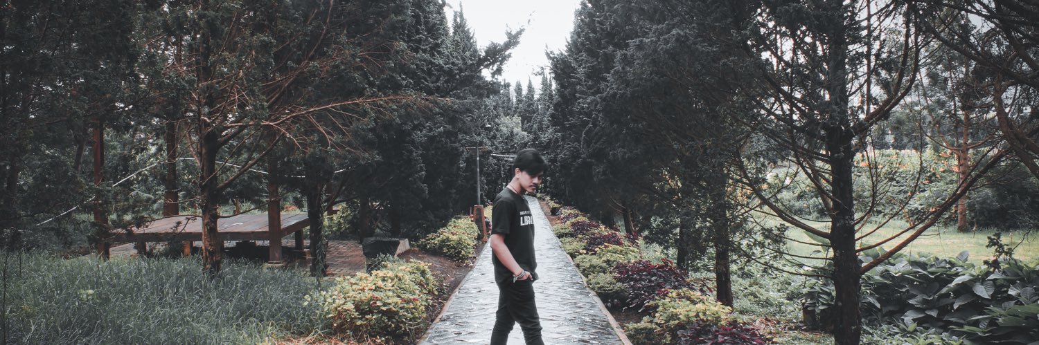 Alviien_F's profile banner image