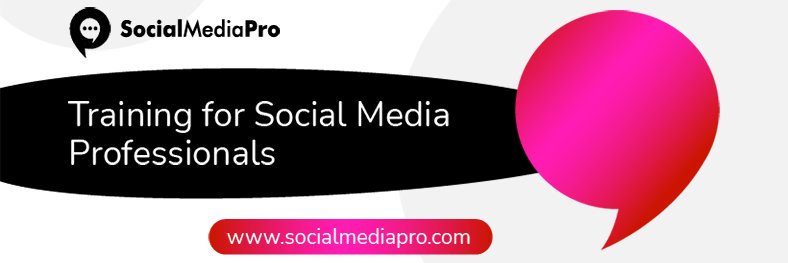 Social Media Pro® | Kate Buck Jr. banner