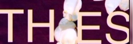 هشام (أبو حسين) 🇸🇦MBS banner