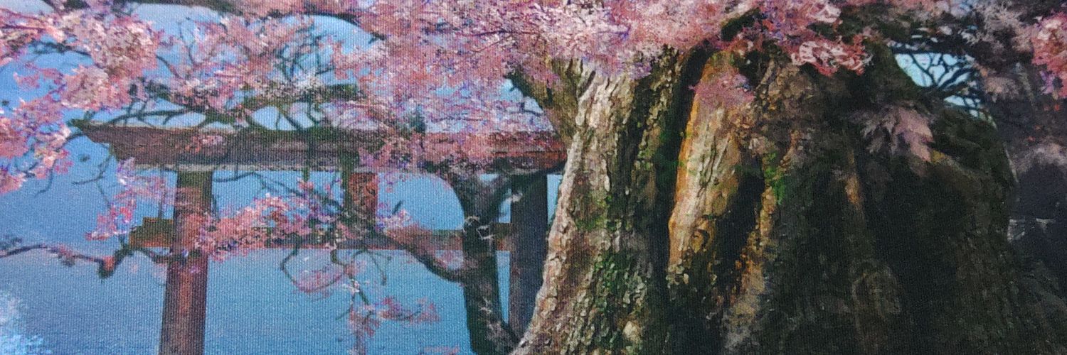 sobatrs's profile banner image