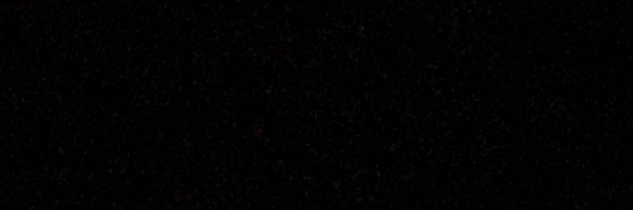 sanchez banner