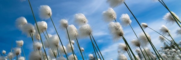 SuomenASH Profile Banner