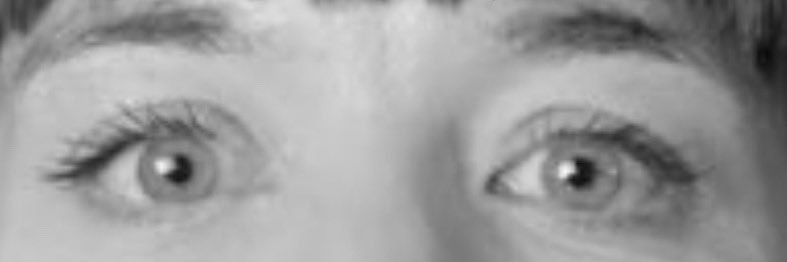 Herr Hodneberg banner