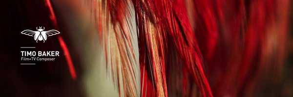Timo_Baker Profile Banner