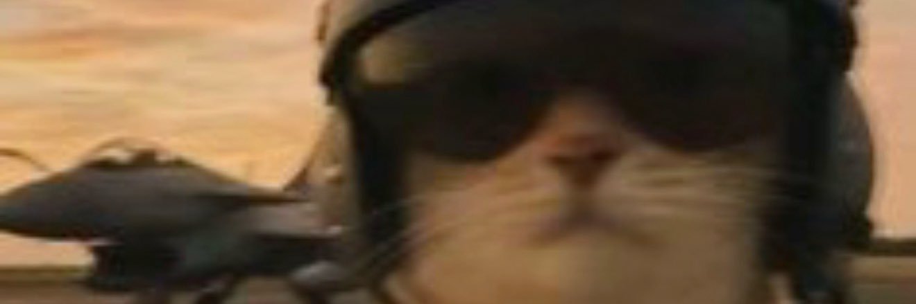 El andrez! banner