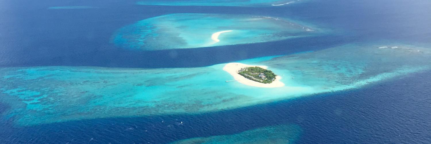 Domenico Basile chef banner