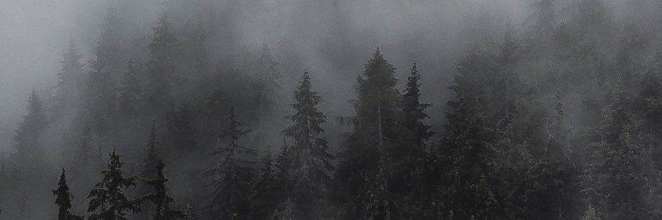 __JP11's profile banner image