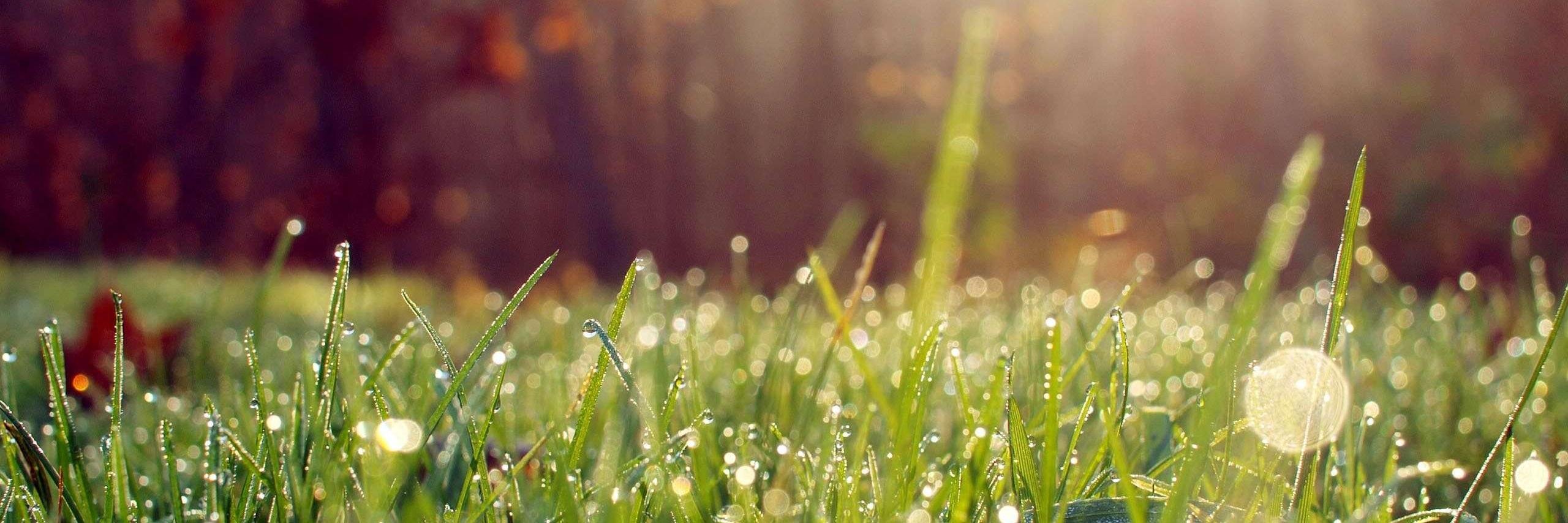 Natural1online's profile banner image