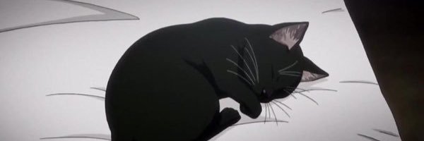 plzing's profile banner image