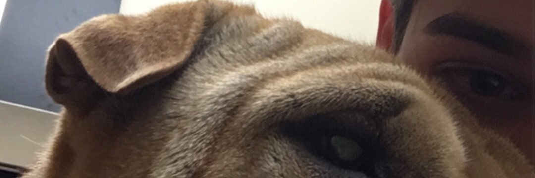 Ccrockettt's profile banner image